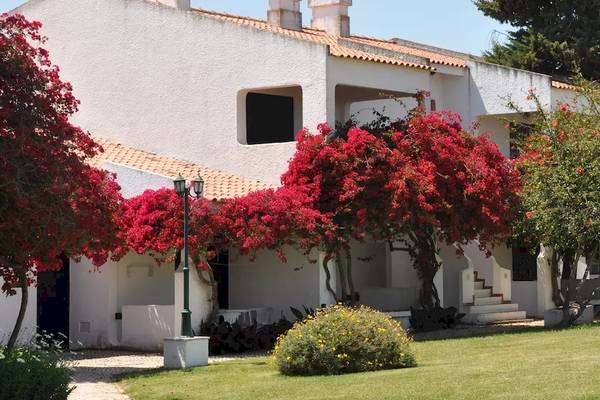 Außenansicht des Pedras da Rainha Resorts mit roten Blumen und grünem Rasen.
