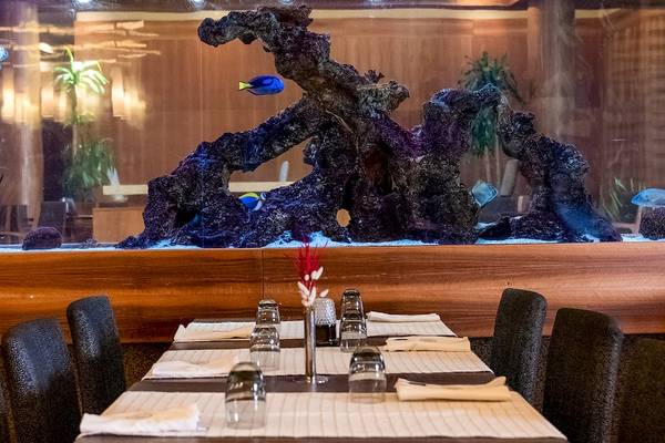 Restauranttisch vor einem großen Aquarium mit Fischen und Pflanzen im Gloria Serenity Resort.