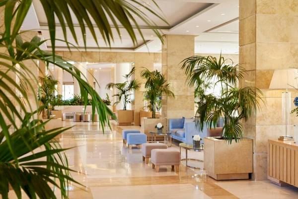 Lobby des Ikos Olivia Hotels mit großen Palmen, blauen Sofas und einem blauen Hocker.