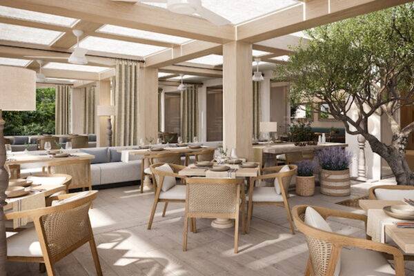 Innenbereich des Ikos Olivia Restaurants mit Holztischen, Stühlen und einer großen Pflanze.
