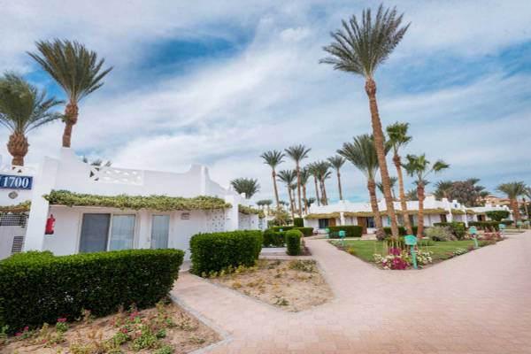 Eingang des Shams Safaga Resorts mit weißen Gebäuden und Palmen