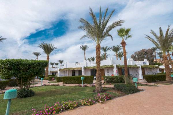 Außenansicht des Shams Safaga Resorts mit weißen Gebäuden, Palmen und gepflegtem Garten.