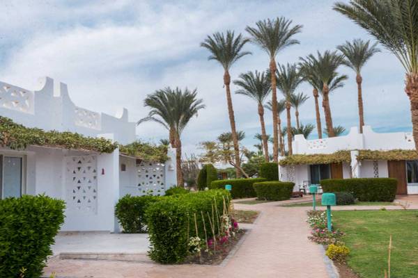 Außenbereich des Shams Safaga Resorts mit weißen Gebäuden, Palmen und gepflegten Gärten.