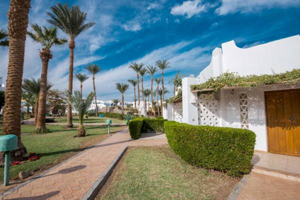 Außenbereich des Shams Safaga Resorts mit gepflastertem Weg, Palmen und weißen Gebäuden.