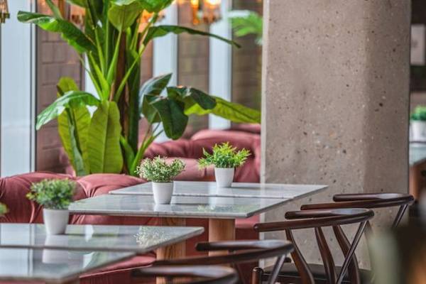 Innenbereich des ReMIX Hotels mit Tischen und Pflanzen.