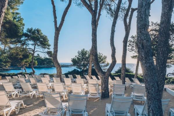 Strand mit weißen Liegestühlen unter Bäumen am Iberostar Waves Pinos Park