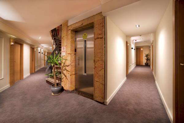 Innenansicht eines Hotelflurs mit einem Aufzug, einer Treppe und Pflanzen auf beiden Seiten.