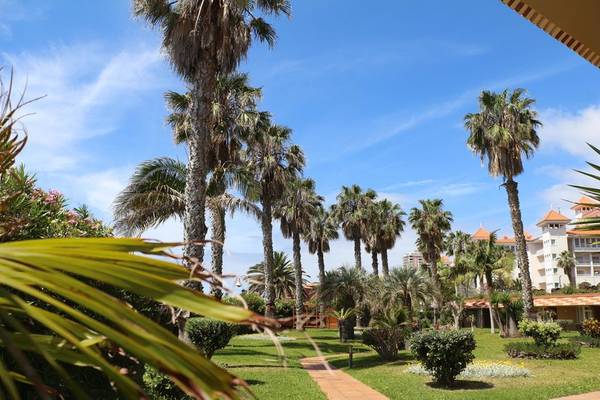 Palmen und Grünfläche im Garten des Views Oasis Hotel