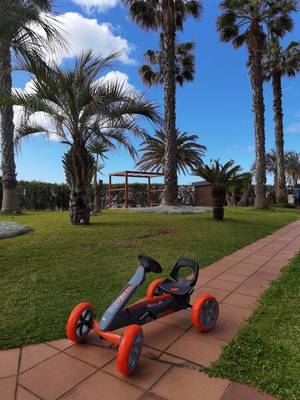 Roter Roller vor Palmenbäumen im Hotel Courtyard.