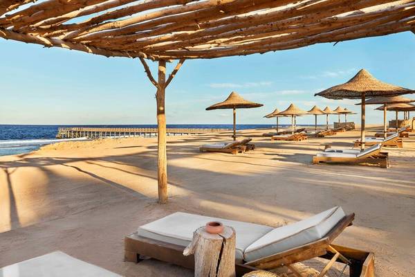 Strand mit Liegen und Sonnenhuten im Steigenberger Resort Alaya