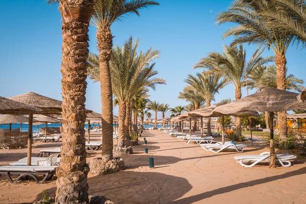 Strand des Fort Arabesque Resorts mit Palmen, Sonnenliegen und Sonnenschirmen