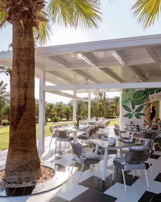 Outdoor-Essbereich im Fort Arabesque Resort mit Palme und schattigem Dach.