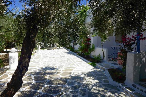 Eingangsbereich des Amaryllis Paros Beach Hotel mit Steinweg und grünen Bäumen