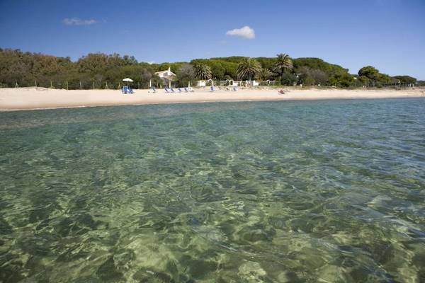 Foto von der Mare Pineta Strand mit Blumen am Wasser