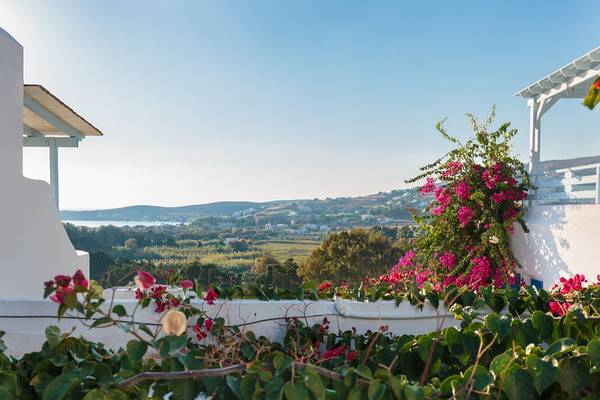 Aussicht vom Pyrgaki Hotel auf eine ländliche Landschaft mit Blumen und Meer im Hintergrund.