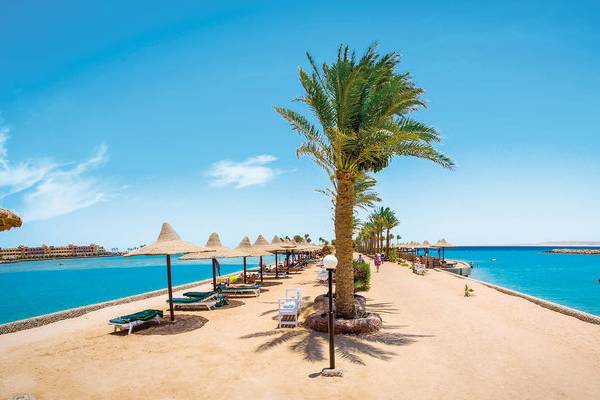 Strand des Arabia Azur Resorts mit Palme, Sonnenschirmen und Liegestühlen