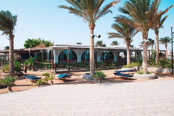 Außenbereich des Arabia Azur Resorts mit Loungeliegen und Palmen