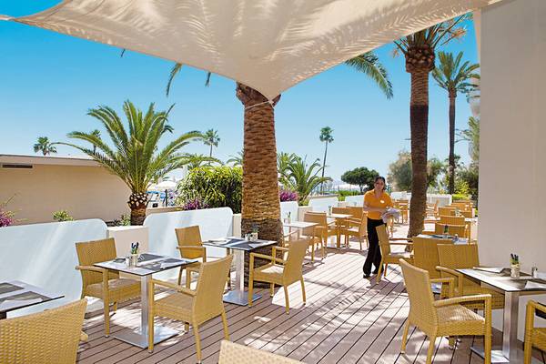Terrasse des Sabina Playa Hotels mit blauem Himmel, Palmen und gelben Stühlen.