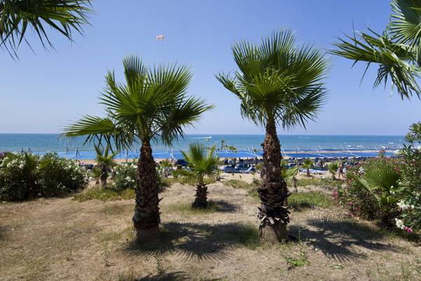 Palmen am Strand des Club Grand Side Hotels mit Blick auf das Meer.