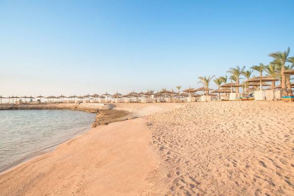 Strand des Pickalbatros Aqua Blu Resort in Hurghada mit Sonnenschirmen und Palmen