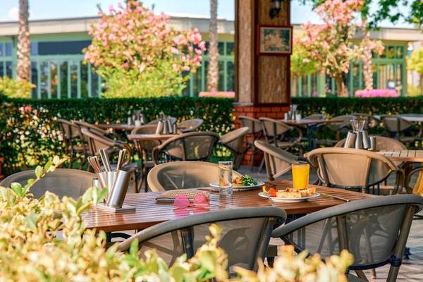 Außenbereich des Magic Life Jacaranda Hotels mit Tischen und Stühlen unter Bäumen