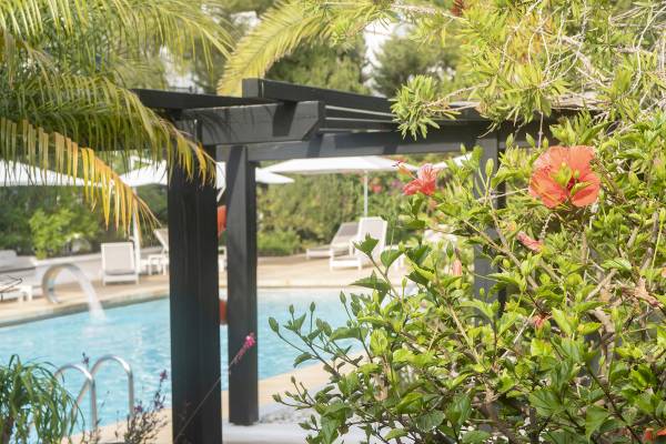 Poolbereich im Paraiso de los Pinos Hotel mit Pflanzen und Liegestühlen.