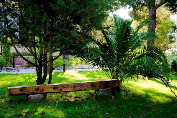 Eine Holzbank im Garten des Paraiso de los Pinos Hotels