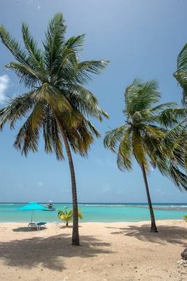 The Sands Barbados Hotel - Barbados