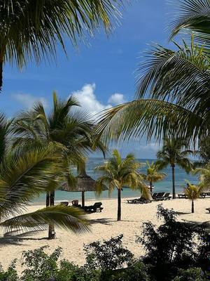 Strand des Paradis Beachcomber Golf Resort & Spa mit Sonnenliegen und Palmen