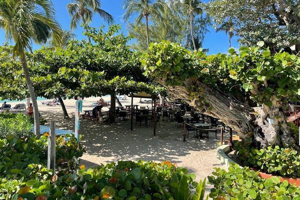 Außenterrasse des Coconut Court Beach Hotels mit Tischen und Stühlen im Freien