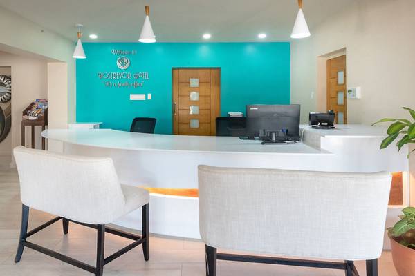 Empfangsbereich des Rostrevor Hotels mit blauer Wand und Schreibtisch