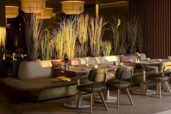 Plus Fariones Suite Hotel Innenraum mit beleuchteten Pflanzen und Sitzgelegenheiten.