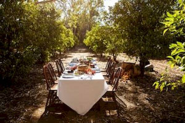 Essen im Freien in einem Garten, ein Tisch mit einer weißen Tischdecke und Holzstühlen.