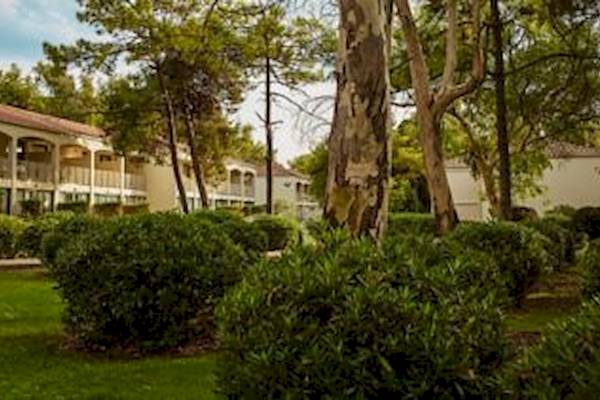 Außenansicht des Domes Aulus Zante Hotels mit Baumbestand und Gebäuden im Hintergrund.