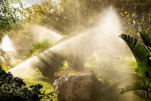 Bewässerungssystem im Garten mit Wasserstrahlen, die Pflanzen befeuchten.