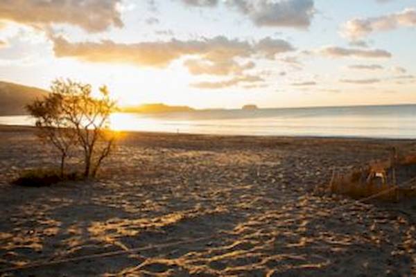 Sonnenuntergang am Strand mit Baum und Sand