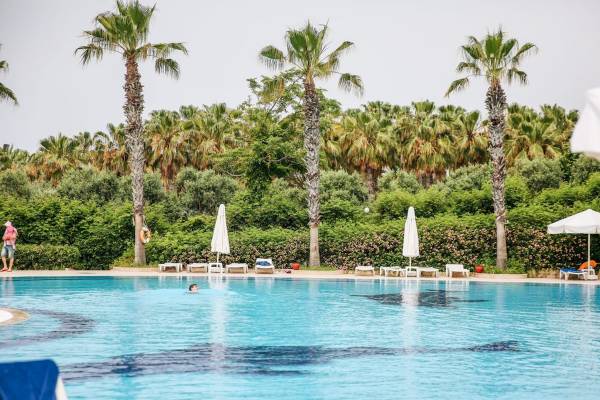 Ein Swimmingpool im Cesars Side Hotel mit Palmen und Sonnenschirmen.