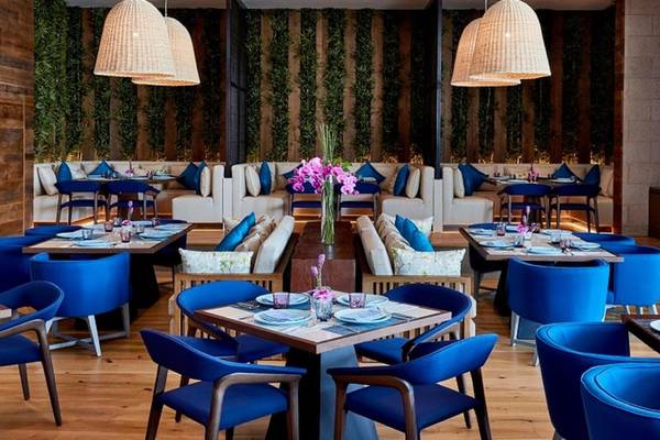 Innenbereich eines Hotels mit blauen Sitzen und Tischen, dekorativ bepflanzten Wänden und rustikalem Holzboden.