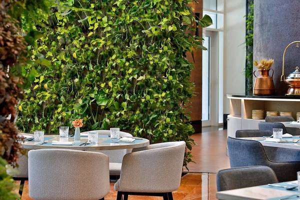 Innenansicht eines Restaurants im Ritz-Carlton Doha mit Sitzecke und grüner Wand.
