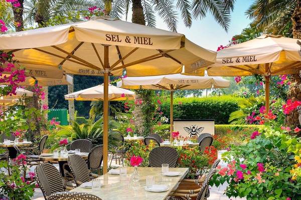 Gartenrestaurant von The Ritz-Carlton Doha mit Tischen und Stühlen unter gelben Sonnenschirmen, die mit 'SEL & MIEL' beschriftet sind.