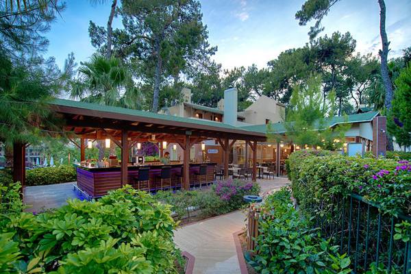 Außenbereich des Turquoise Hotels mit Bar, umgeben von Pflanzen und Bäumen