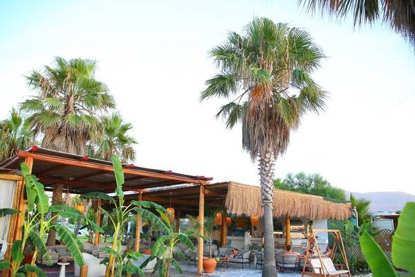 Lounge-Bereich des Oricon Coast Luxury Resort mit Palmen und Sonnenliegen.