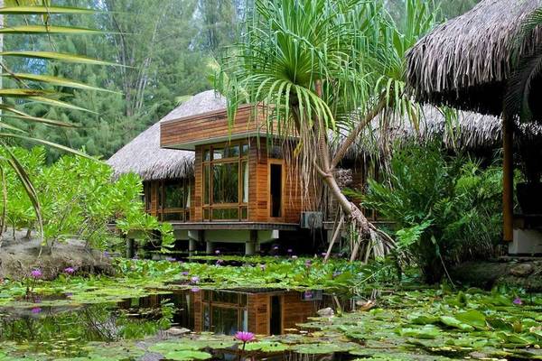 Le Bora Bora by Pearl Resorts Hütte inmitten von Seerosen