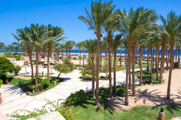 Tropische Anlage des Grand Makadi Hotels mit Palmen und Blick auf das Meer.