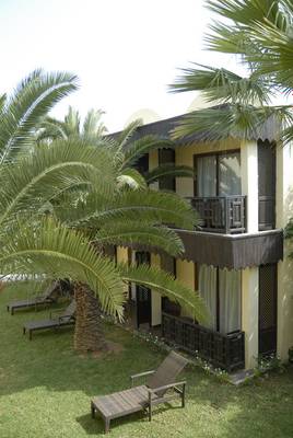 Außenbereich des Paradis Palace Hotels mit Liegestühlen und Palmen.