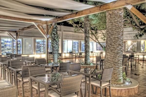 Innenansicht des Restaurants im Sahara Beach AquaPark Resort mit Tischen, Stühlen und Palmen.