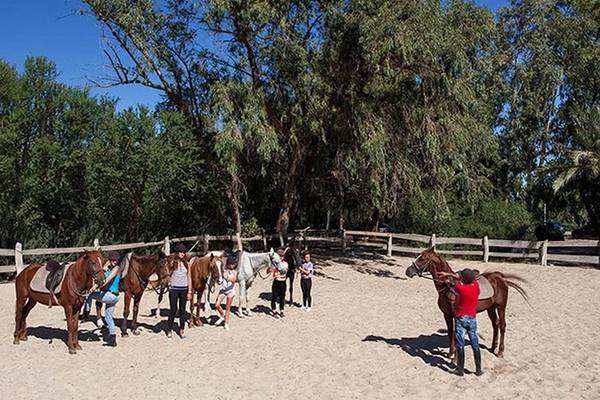 Gruppe von Reitern und Pferden im Sahara Beach AquaPark Resort