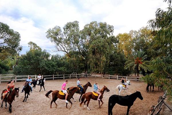 Mehrere Personen reiten auf Pferden in einer Reitschule des Sahara Beach AquaPark Resorts.