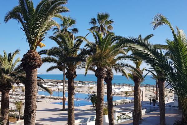 Palmen auf dem Gelände des Hotels Orangers Garden Villas & Bungalows mit Blick auf den Pool und das Meer