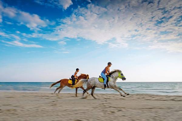Zwei Reiter auf dem Strand beim Aldiana Club Djerba Atlantide